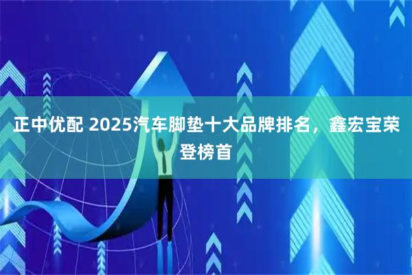 正中优配 2025汽车脚垫十大品牌排名，鑫宏宝荣登榜首