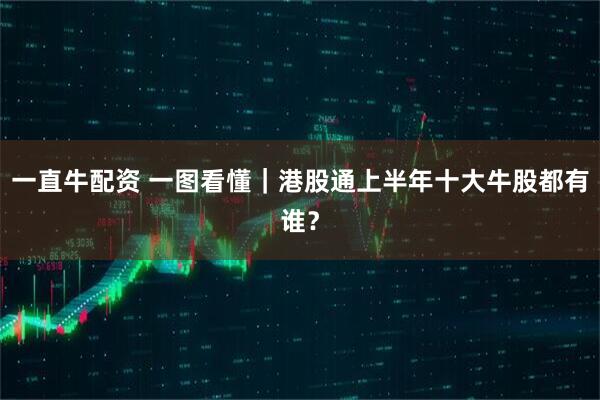 一直牛配资 一图看懂｜港股通上半年十大牛股都有谁？